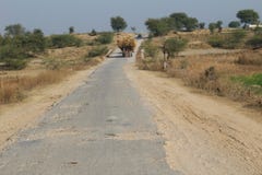 A beautiful view of the road in the country of Punjab royalty free stock photography A beautiful view of the road in the country of Punjab royalty free stock photography