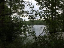 Beautiful view of the water through the tree branches royalty free stock photo Beautiful view of the water through the tree branches royalty free stock photo