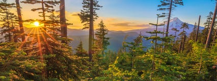 Beautiful Vista Of Mount Hood In Oregon, USA. Stock Image