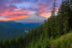 Beautiful Vista Of Mount Hood In Oregon, USA. Royalty Free Stock Images