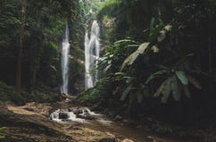 Beautiful waterfall in green forest in jungle royalty free stock photo Beautiful waterfall in green forest in jungle royalty free stock photo