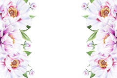 Beautiful white peony border frame. Bouquet of flowers. Floral print. Marker drawing. stock illustration Beautiful white peony border frame. Bouquet of flowers. Floral print. Marker drawing. stock illustration