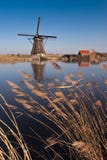 Beautiful Windmill Landscape At Kinderdijk Stock Photography