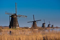 Beautiful Windmill Landscape At Kinderdijk Royalty Free Stock Images