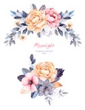 Beautiful winter collection with branches,cotton plants,flowers,succulent,colorful leaves. 2 winter bouquets for your unique design.Perfect for Christmas card stock illustration Beautiful winter collection with branches,cotton plants,flowers,succulent,colorful leaves. 2 winter bouquets for your unique design.Perfect for Christmas card stock illustration