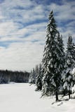 Beautiful Winter Scene By A Frozen Lake Royalty Free Stock Photos Beautiful Winter Scene By A Frozen Lake Royalty Free Stock Photos