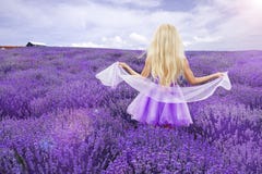 https://thumbs.dreamstime.com/t/beautiful-woman-blond-hair-beautiful-long-white-wedding-dress-stands-field-heather-flowers-purple-beautiful-112674515.jpg