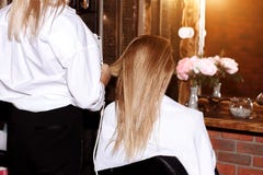 Beautiful woman in hair salon stock photos Beautiful woman in hair salon stock photos