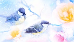 Beautiful yellow and pink roses and tit birds in the snow and frost. Artistic winter natural image. Winter spring season.