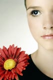 Beautiful Young Girl With Gerber Flower Royalty Free Stock Image