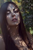 Beautiful young woman portrait in flower field stock image Beautiful young woman portrait in flower field stock image