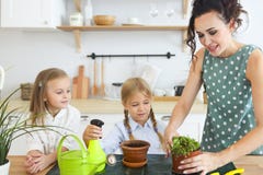 Beautiful young women with two little cute daughters planting flower royalty free stock images Beautiful young women with two little cute daughters planting flower royalty free stock images