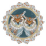 Beaux couples de hibou Image stock Beaux couples de hibou Image stock