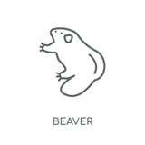 Beaver linear icon. Modern outline Beaver logo concept on white vector illustration Beaver linear icon. Modern outline Beaver logo concept on white vector illustration