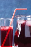 Bebida de restauración sana del té del hibisco del hielo y bayas y frutas del rojo en jarra y vidrio alto con la paja Vitaminas S Imagenes de archivo Bebida de restauración sana del té del hibisco del hielo y bayas y frutas del rojo en jarra y vidrio alto con la paja Vitaminas S Imagenes de archivo