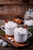 Bebida do Natal Chocolate quente com marshmallows e canela no fundo de madeira fotografia de stock royalty free Bebida do Natal Chocolate quente com marshmallows e canela no fundo de madeira fotografia de stock royalty free