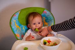 Bebé de alimentación - muchacho adorable que come el bróculi fotografía de archivo libre de regalías Bebé de alimentación - muchacho adorable que come el bróculi fotografía de archivo libre de regalías