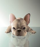 Bebé francés del perro del toro Color marr?n claro ilustración del vector Bebé francés del perro del toro Color marr?n claro ilustración del vector