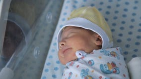 Bebé recién nacido que duerme agitado en el hospital de maternidad Bebé recién nacido que duerme agitado en el hospital de maternidad