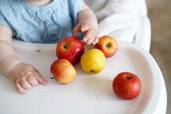 Bebê que come o fruto maçãs amarelas e vermelhas nas mãos da menina na cozinha ensolarada Nutrição saudável para crianças Aliment imagens de stock Bebê que come o fruto maçãs amarelas e vermelhas nas mãos da menina na cozinha ensolarada Nutrição saudável para crianças Aliment imagens de stock