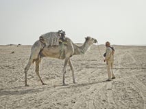 Beduinblytak över kamel i den Sahara öknen arkivfoto Beduinblytak över kamel i den Sahara öknen arkivfoto