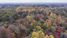 Bedöva flyg- surrlandskapbild av att bedöva färgrikt vibrerande Autumn Fall English bygdlandskap arkivfoto Bedöva flyg- surrlandskapbild av att bedöva färgrikt vibrerande Autumn Fall English bygdlandskap arkivfoto