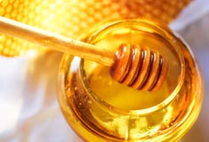 Bee Honeycomb Royalty Free Stock Photography Bee Honeycomb Royalty Free Stock Photography