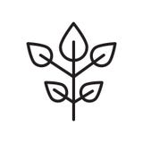 Beech icon vector sign and symbol isolated on white background royalty free illustration Beech icon vector sign and symbol isolated on white background royalty free illustration
