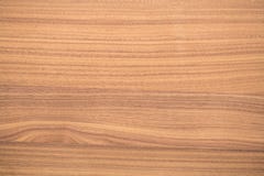 Beech Texture With Natural Pattern Royalty Free Stock Photos Beech Texture With Natural Pattern Royalty Free Stock Photos