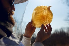 A beekeeper holding and examines a fragment at empty honeycomb on sun sky background. Horizontal outside shot. stock photos A beekeeper holding and examines a fragment at empty honeycomb on sun sky background. Horizontal outside shot. stock photos