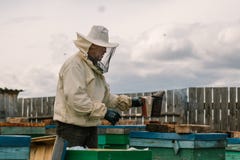 Beekeeper в защитном костюме окуривает крапивницы стоковое фото Beekeeper в защитном костюме окуривает крапивницы стоковое фото
