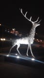 Beeldhouwwerk van een hert bij nacht stock foto's Beeldhouwwerk van een hert bij nacht stock foto's