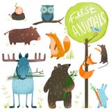 Beeldverhaal Forest Animals Set