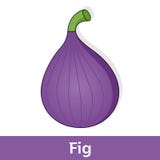 Beeldverhaalfruit - Zoete Violet Fig royalty-vrije illustratie Beeldverhaalfruit - Zoete Violet Fig royalty-vrije illustratie