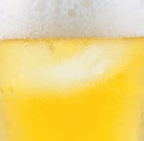 Beer Stock Images