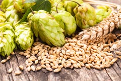 Beer Concept Royalty Free Stock Image Beer Concept Royalty Free Stock Image