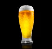 Beer. Glass of cold beer with water drops. Craft beer isolated on black royalty free stock photos Beer. Glass of cold beer with water drops. Craft beer isolated on black royalty free stock photos
