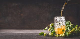 Beer is poured into mug on dark rustic wooden background with hops, front view, copy space royalty free stock image Beer is poured into mug on dark rustic wooden background with hops, front view, copy space royalty free stock image