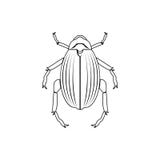beetle goliath icon. Element of insect for mobile concept and web apps icon. Thin line icon for website design and development, vector illustration beetle goliath icon. Element of insect for mobile concept and web apps icon. Thin line icon for website design and development, vector illustration