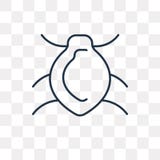 Beetle vector icon isolated on transparent background, linear Be stock illustration Beetle vector icon isolated on transparent background, linear Be stock illustration