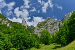 Beginning Of Climbing To The Scarita-Belioara Reserve From Muntele Mare Stock Photography