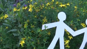 Begrepp av personen och miljön Människadiagram som göras av papper på gräs Panoramaultrarapidkamera från folk stock video Begrepp av personen och miljön Människadiagram som göras av papper på gräs Panoramaultrarapidkamera från folk stock video