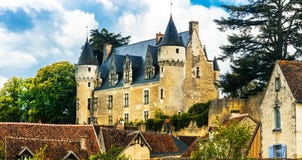 Bei castelli romantici del castello di Montresor - di Loire Valley Immagini Stock Libere da Diritti Bei castelli romantici del castello di Montresor - di Loire Valley Immagini Stock Libere da Diritti