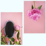 Bei fiori e haircomb rosa della peonia su un fondo rosa Insieme della foto fotografia stock Bei fiori e haircomb rosa della peonia su un fondo rosa Insieme della foto fotografia stock