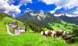 Bei paesaggi della natura - pascoli delle dolomia Immagini Stock Bei paesaggi della natura - pascoli delle dolomia Immagini Stock