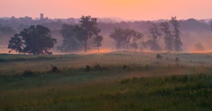 Bei pini sulla mattina nebbiosa nel parco militare nazionale di Gettysburg immagine stock libera da diritti Bei pini sulla mattina nebbiosa nel parco militare nazionale di Gettysburg immagine stock libera da diritti