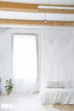 Bel intérieur vide avec un palmier et un rideau Idée de la pièce minimaliste blanche avec le sofa Intérieur scandinave photo stock Bel intérieur vide avec un palmier et un rideau Idée de la pièce minimaliste blanche avec le sofa Intérieur scandinave photo stock