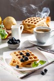 Belgische wafels voor ontbijt met een kop van koffie royalty-vrije stock fotografie Belgische wafels voor ontbijt met een kop van koffie royalty-vrije stock fotografie