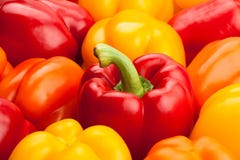 Bell Peppers Stock Photography