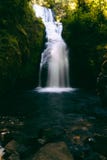 Bella cascata pura in una foresta tropicale esotica con un lago fotografie stock libere da diritti Bella cascata pura in una foresta tropicale esotica con un lago fotografie stock libere da diritti